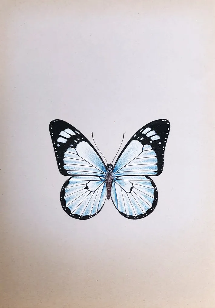 A Graceful Butterfly in Miniature Painting by Mohan Prajapati