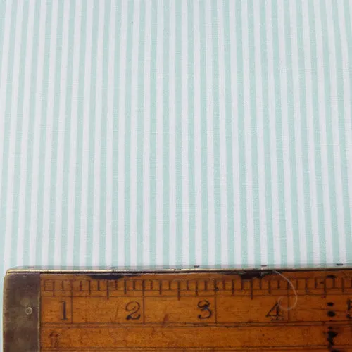 Chambray Cotton - Mint - Stripe